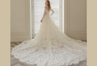 Elegant Ideas for a Long Train Wedding Dress - Rosymae