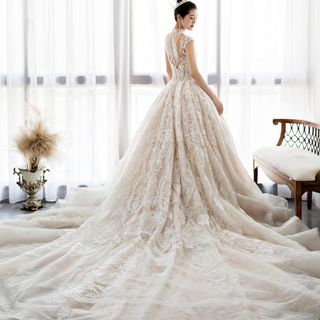 Sheer Back Wedding Dresses