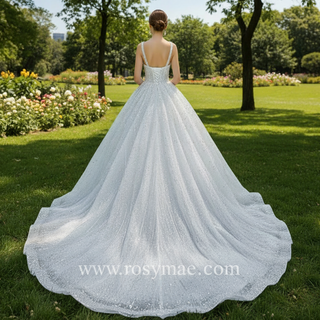 Heavy Beading Luxury Puffy Wedding Dress with Wide Straps