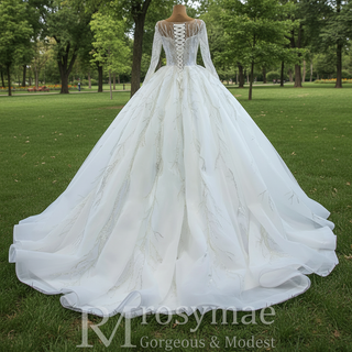 Beaded Sparkly Arabric Wedding Dress with Long Sleeve Ball Gown