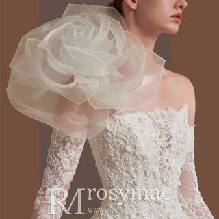 Floral Lace Bridal Gowns & Ball Gown Wedding Dresses