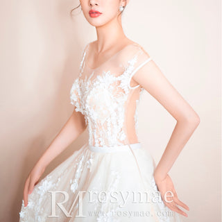 Cap Sleeve Long A-Line Wedding Dress Applique Elegant Tulle Bridal Gown