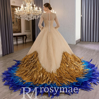 Women's Long Sleeve Dresses & Formal Gowns with Feathers