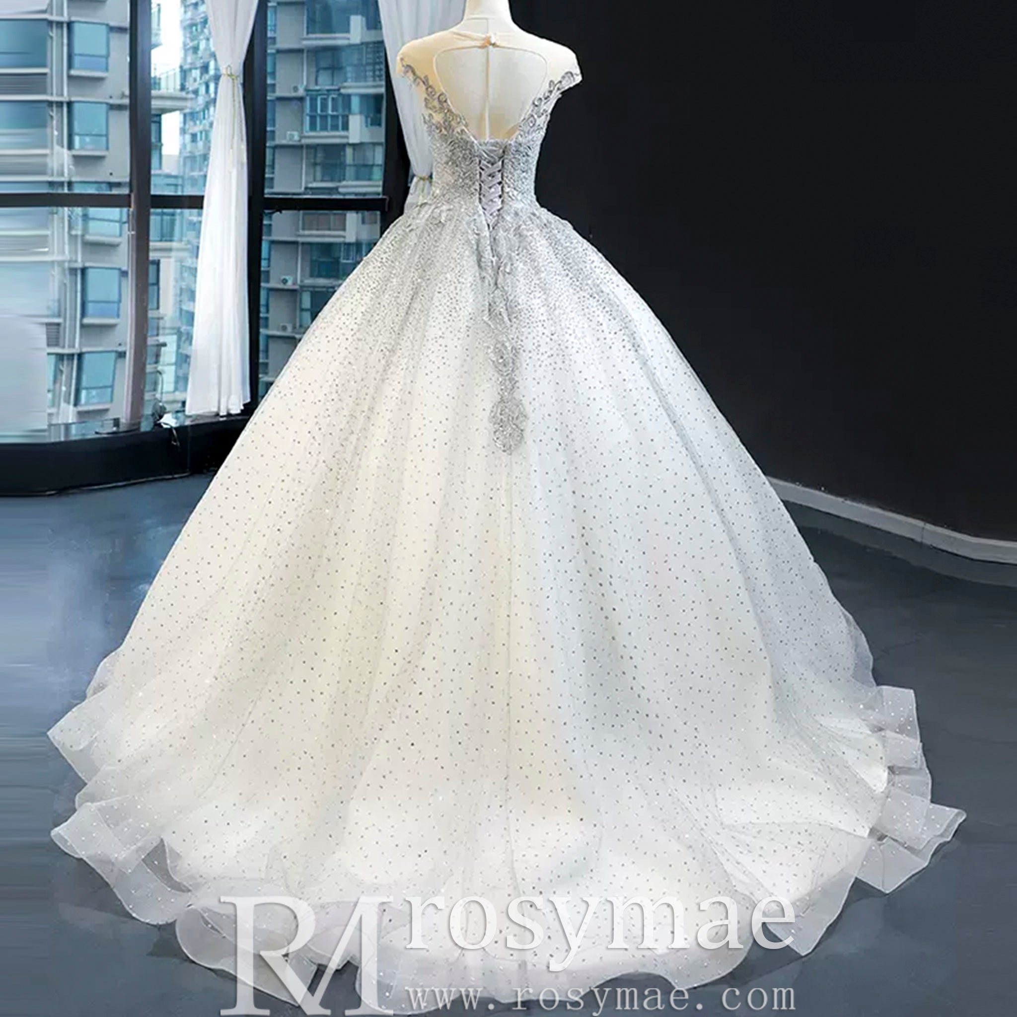 Puffy Skirt Sparkly Empire Waist Wedding Dress with Cap Sleeve Light Gray / 16 Puffy Skirt Sparkly Empire Waist Wedding Dress with Cap Sleeve Light Gray / 16