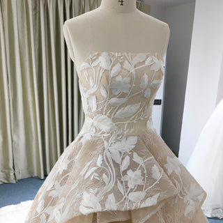 Light Champagne Fairy Tale Tulle Lace Wedding Dress with Ruffle Skirt