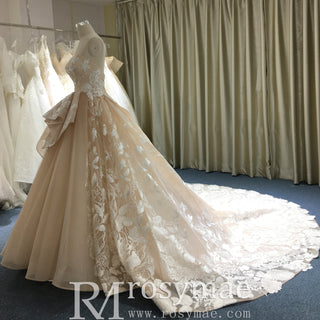 Light Champagne Fairy Tale Tulle Lace Wedding Dress with Ruffle Skirt