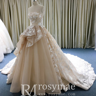 Light Champagne Fairy Tale Tulle Lace Wedding Dress with Ruffle Skirt