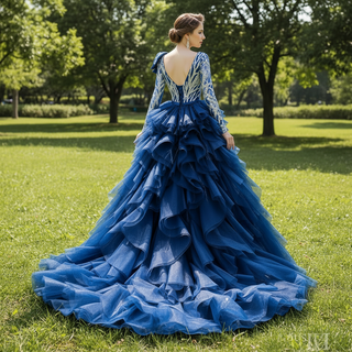 Gorgeous Long Sleeve Evening Dress Prom Gown with Detachable Train