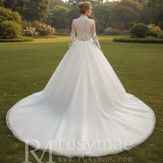 Plunging Neckline Ballgown Wedding Dress with Long Sleeves