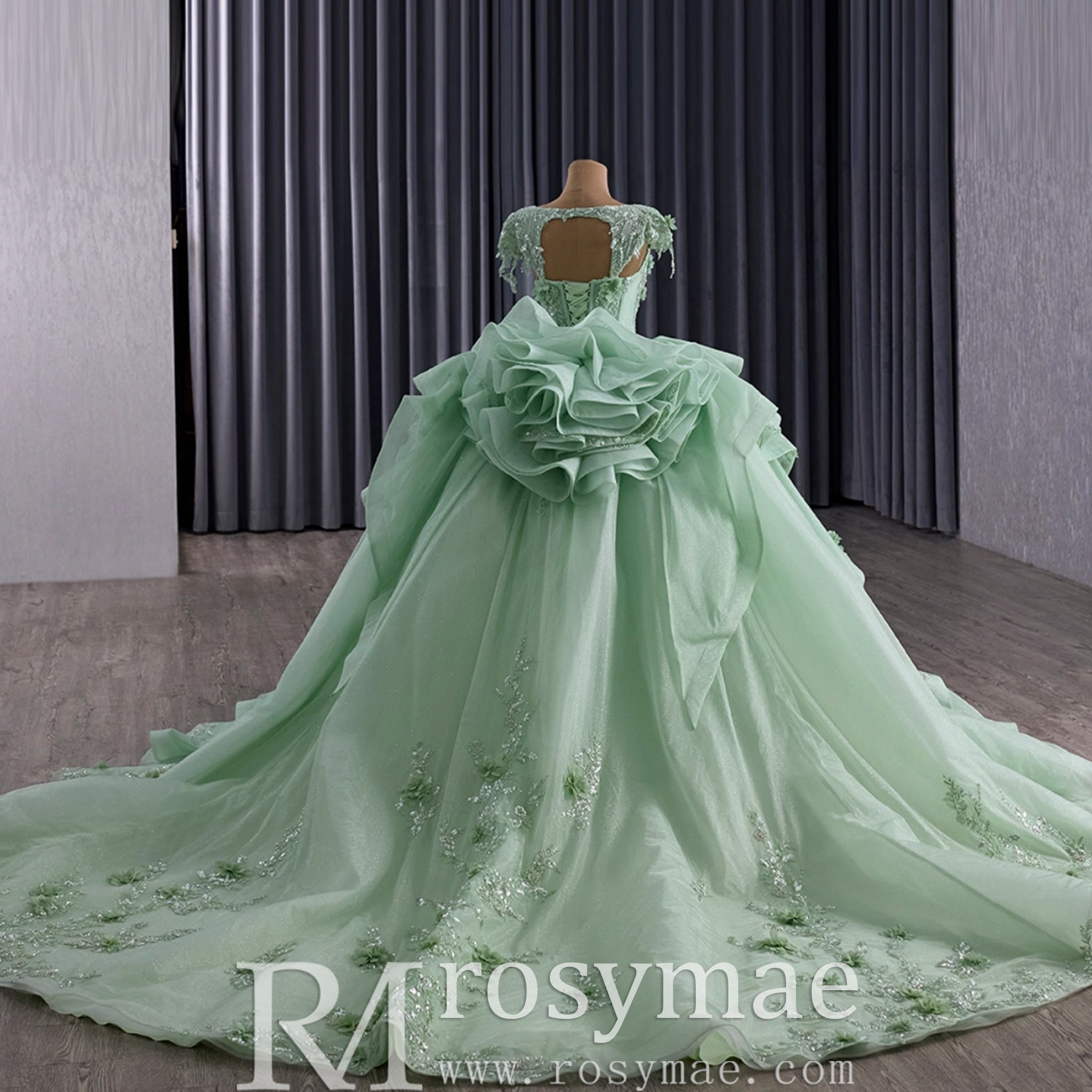 Elegant Ruffle Skirt Light Green Quinceanera Dress Sweet 15 with 3D Flowers Light Green / 16W Elegant Ruffle Skirt Light Green Quinceanera Dress Sweet 15 with 3D Flowers Light Green / 16W