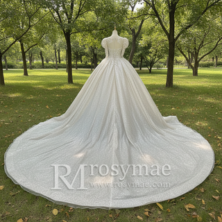 Puffy Long Sleeves Wedding Dresses Sheer Back Bridal Gowns