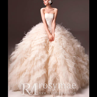 Modern Quinceanera Dress 2024 Puffy Quince Dress & Gowns