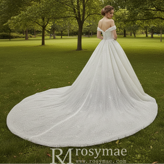 Sparkly Luxury Ball Gown Princess Wedding Dress with Off the Shoulder
