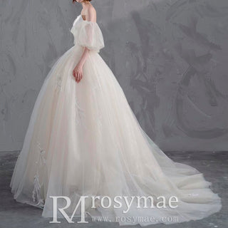 Ball Gown Tulle and Lace Wedding Dresses with Vneck