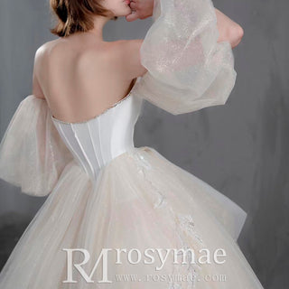Ball Gown Tulle and Lace Wedding Dresses with Vneck