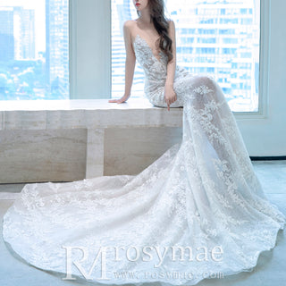 Sheer Lace Trumpet Mermaid Wedding Dress with Open Back