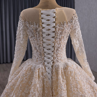 Luxury Champagne Ball Gown Wedding Dress with Sheer Scoop & Long Sleeves