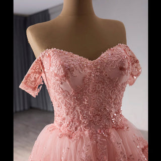 A-line Floral Applique Birthday Princess Formal Gown Party Dress - Rosymae