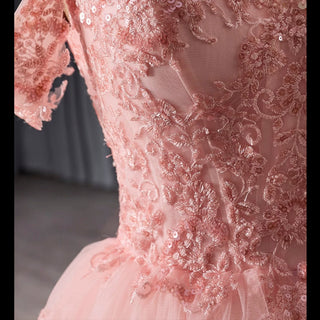 A-line Floral Applique Birthday Princess Formal Gown Party Dress - Rosymae