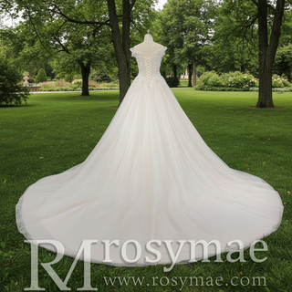 Elegant Shiny Tulle Princess Wedding Dress with Lace Applique