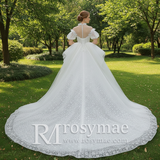 Ball Gown Lace Sheer High-Neck Bridal Wedding Dress with Long Train