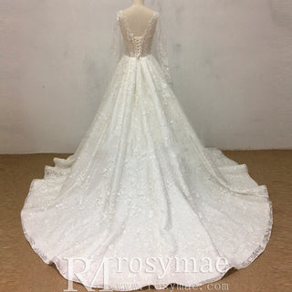 Sheer Bodice Long Sleeve Ball Gown Lace Overlay Wedding Dress
