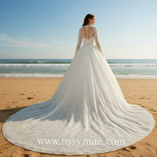 Embroidery Flower Lace Overlay Ball Gown Wedding Dress Long Sleeve