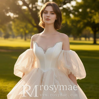 Ball Gown Tulle and Lace Wedding Dresses with Vneck - Rosymae