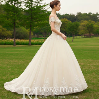 Ball Gown Tulle Lace Wedding Dress with Off the Shoulder - Rosymae
