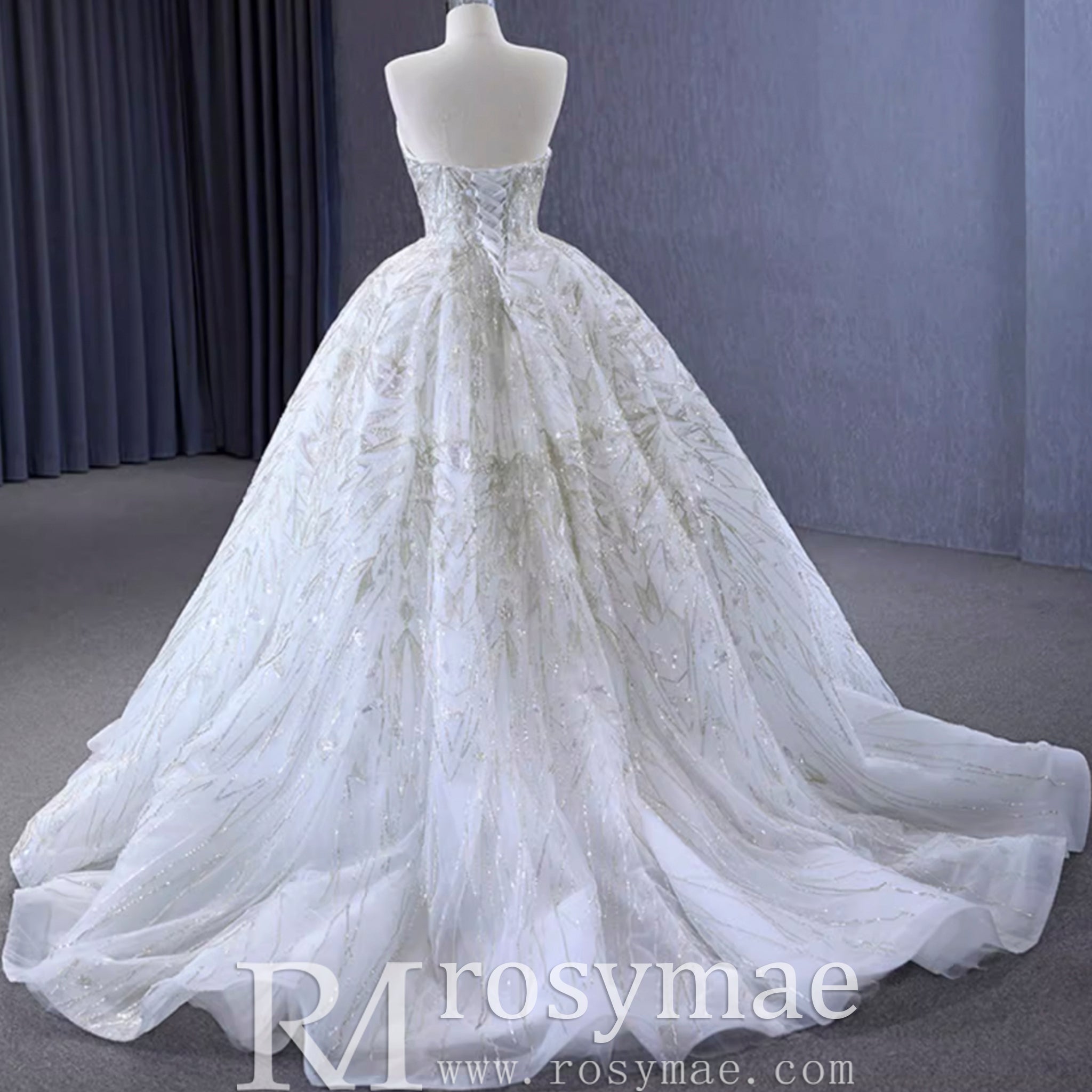 Beaded Lace Apliqued Ball Gown Wedding Dress Strapless Bridal Gown - Rosymae