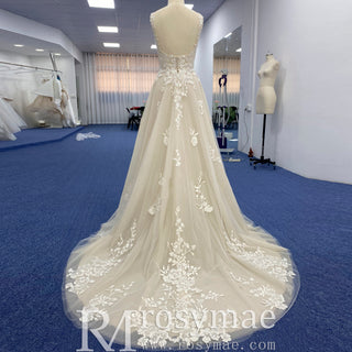 Princess Champagne Tulle Lace A-line Wedding Dress with Vneck