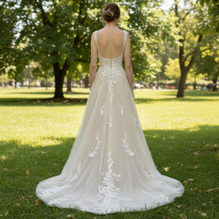 Princess Champagne Tulle Lace A-line Wedding Dress with Vneck