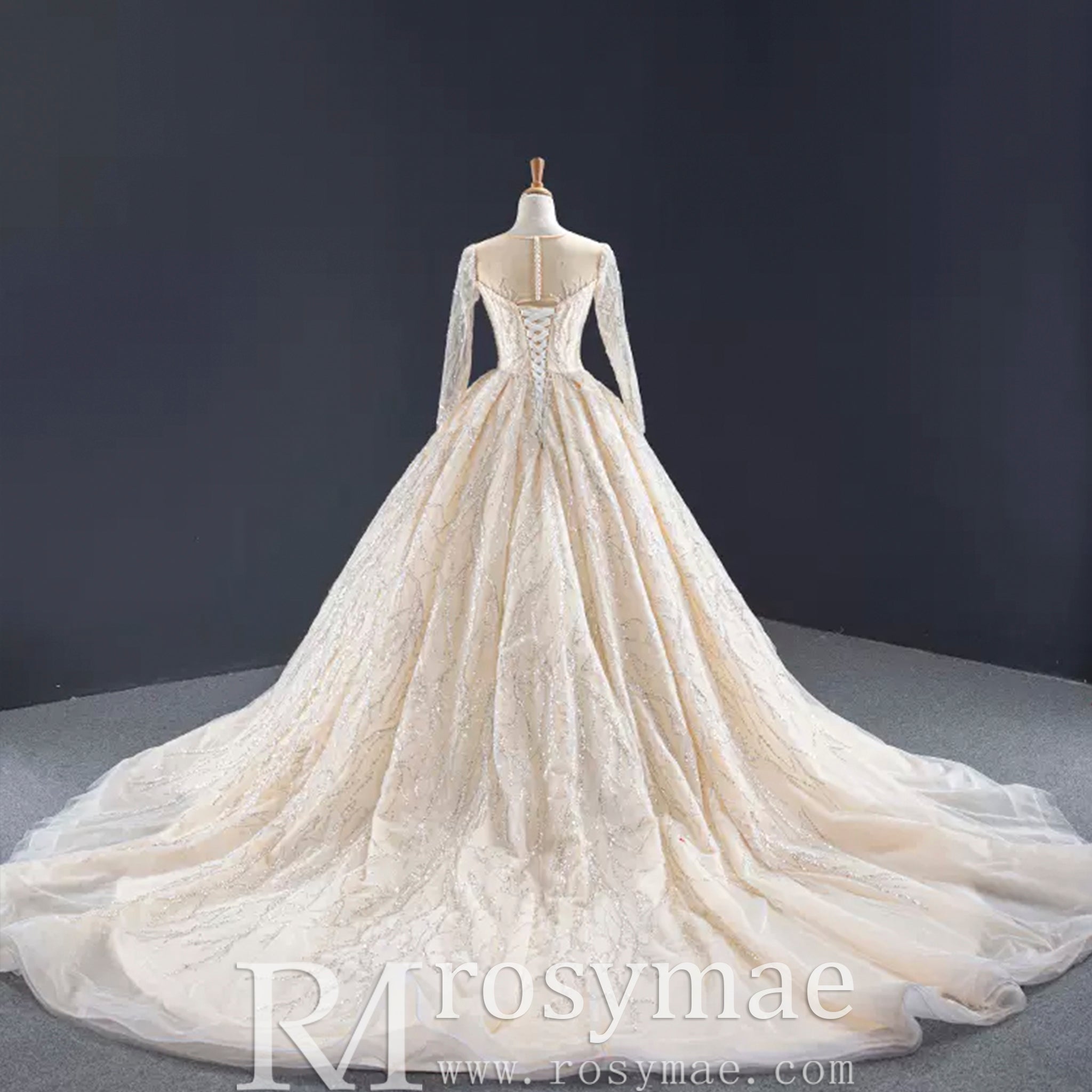 Champagne Ball Gown Tulle Sequins Long Sleeve Wedding Dress - Rosymae