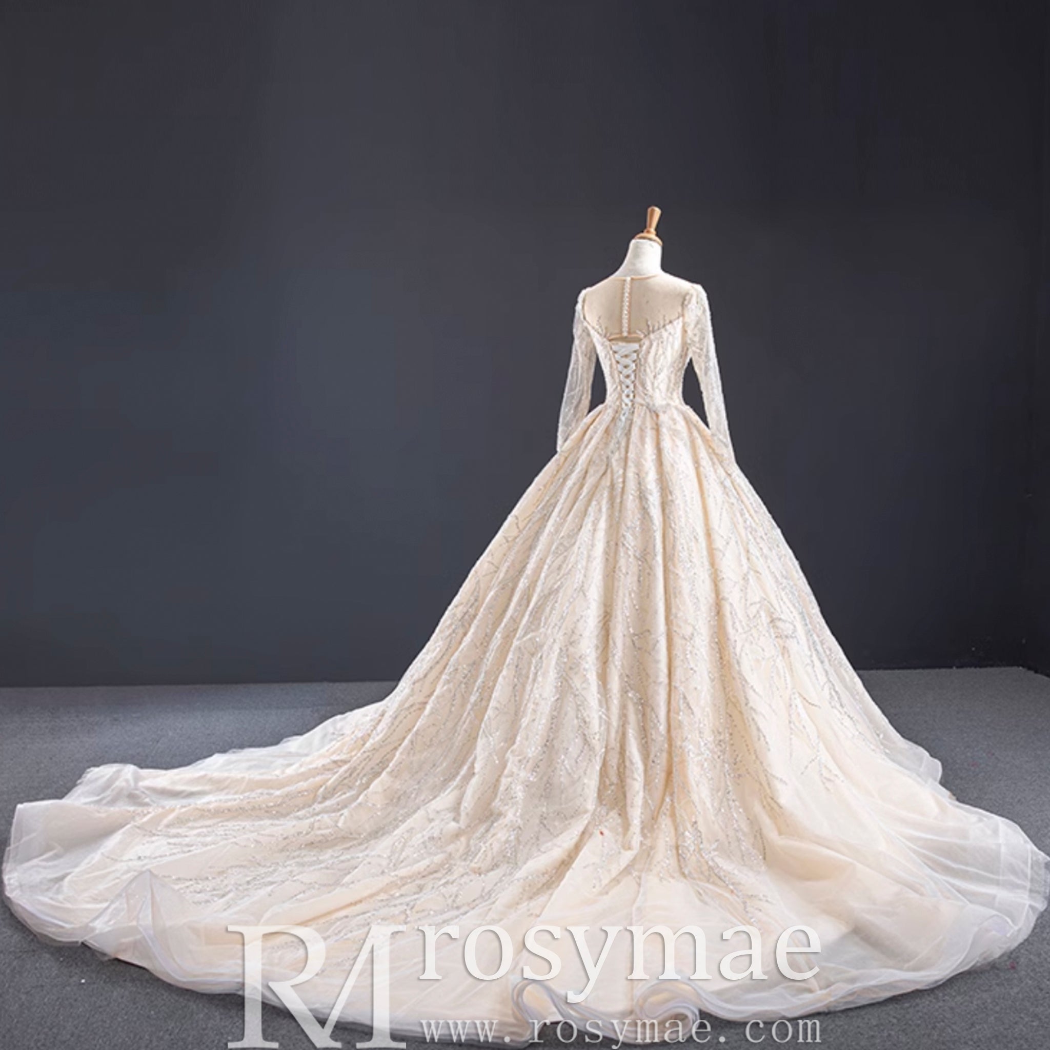 Champagne Ball Gown Tulle Sequins Long Sleeve Wedding Dress - Rosymae