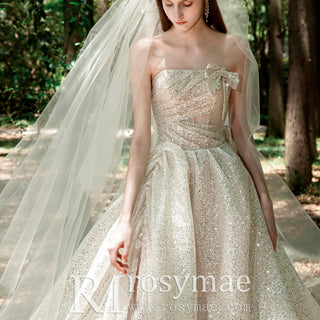 Sparkly Wedding Dress