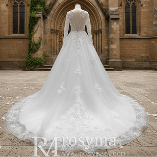 Classic Lace Illusion Long Sleeve Ball Gown Wedding Dress for Elegant Bride - Rosymae
