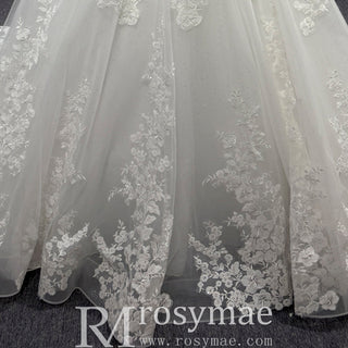 Elegant A Line Sheer Bodice Lace Appliqued Wedding Dress with Low Back - Rosymae