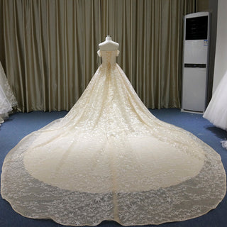 Elegant Champagne Gold Star Lace Wedding Dress with Off the Shoulder - Rosymae