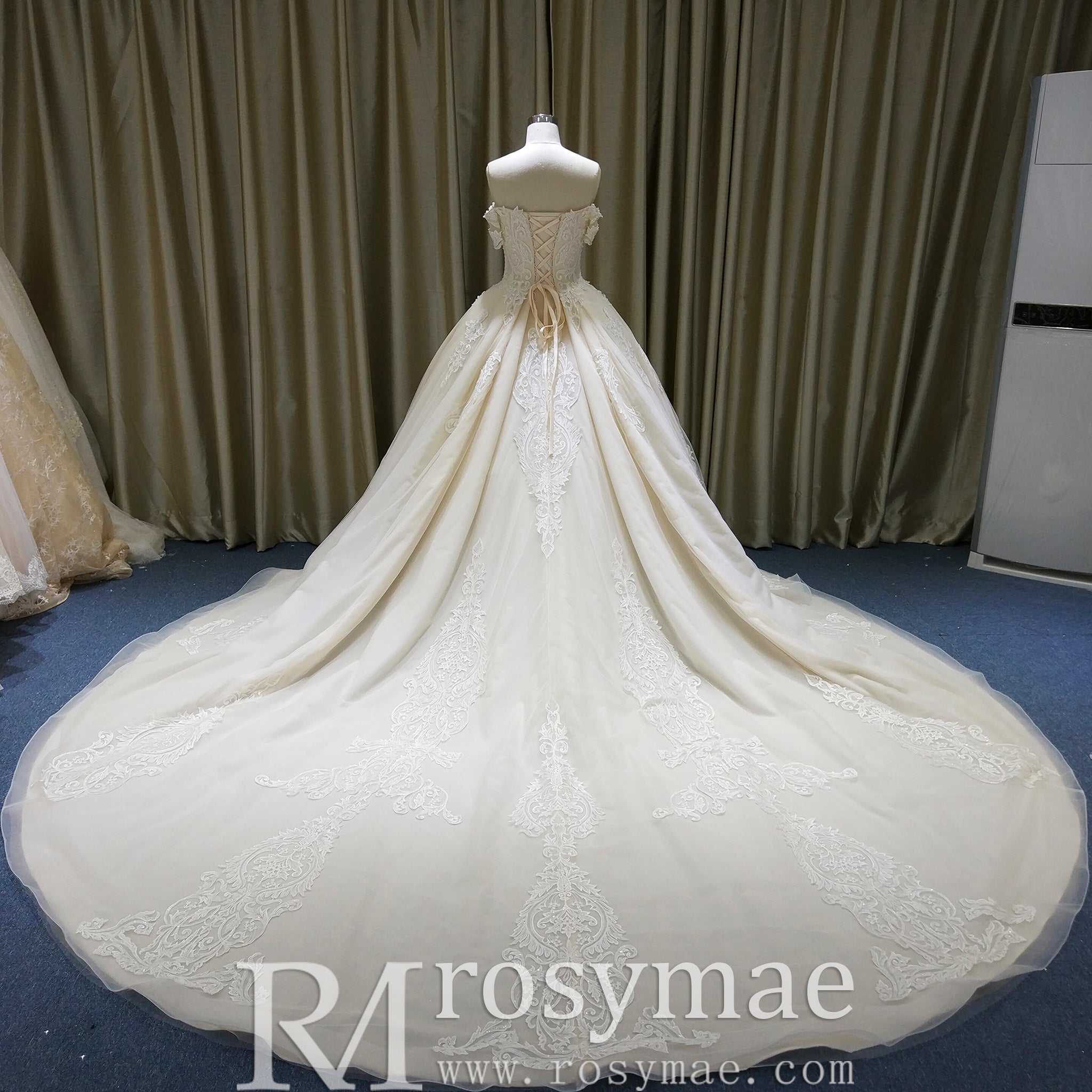 Elegant Champagne Off the Shoulder Ball Gown Wedding Dress with Pleated - Rosymae