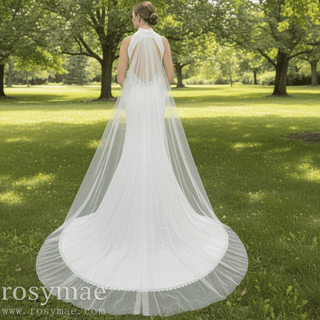 Elegant Lace Mermaid Wedding Dress with A Halter and Open Back - Rosymae