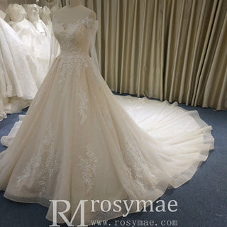 Elegant Long Sleeve Light Champange Wedding Dress with Keyhole Back - Rosymae