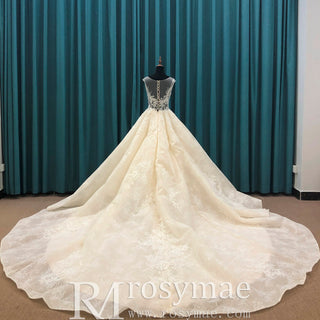 Elegant Princess Luxury Ball Gown Wedding Dress with Sheer Bodice - Rosymae