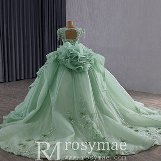 Elegant Ruffle Skirt Light Green Quinceanera Dress Sweet 15 with 3D Flowers - Rosymae