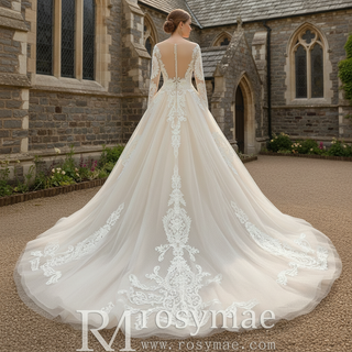 Embroidered Lace Applique Ball Gown Long Sleeve Wedding Dress
