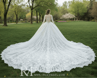 Floral Lace Ball Gown Puffy Skirt Wedding Dress with Long Sleeve - Rosymae