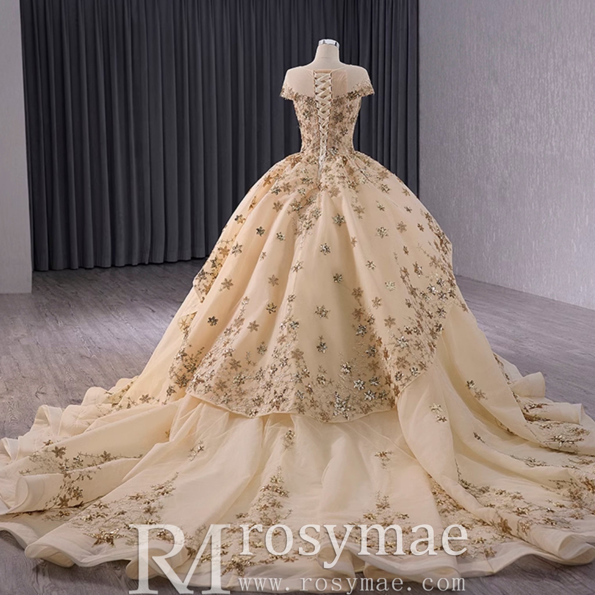 Gold Star Ruffle Wedding Dress with Cap Sleeve Quinceanera Gown - Rosymae