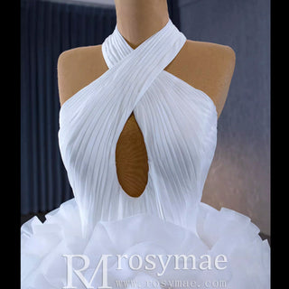 Gorgeous Ball Gown Ruffle Puffy Skirt Quinceanera Dress - Rosymae