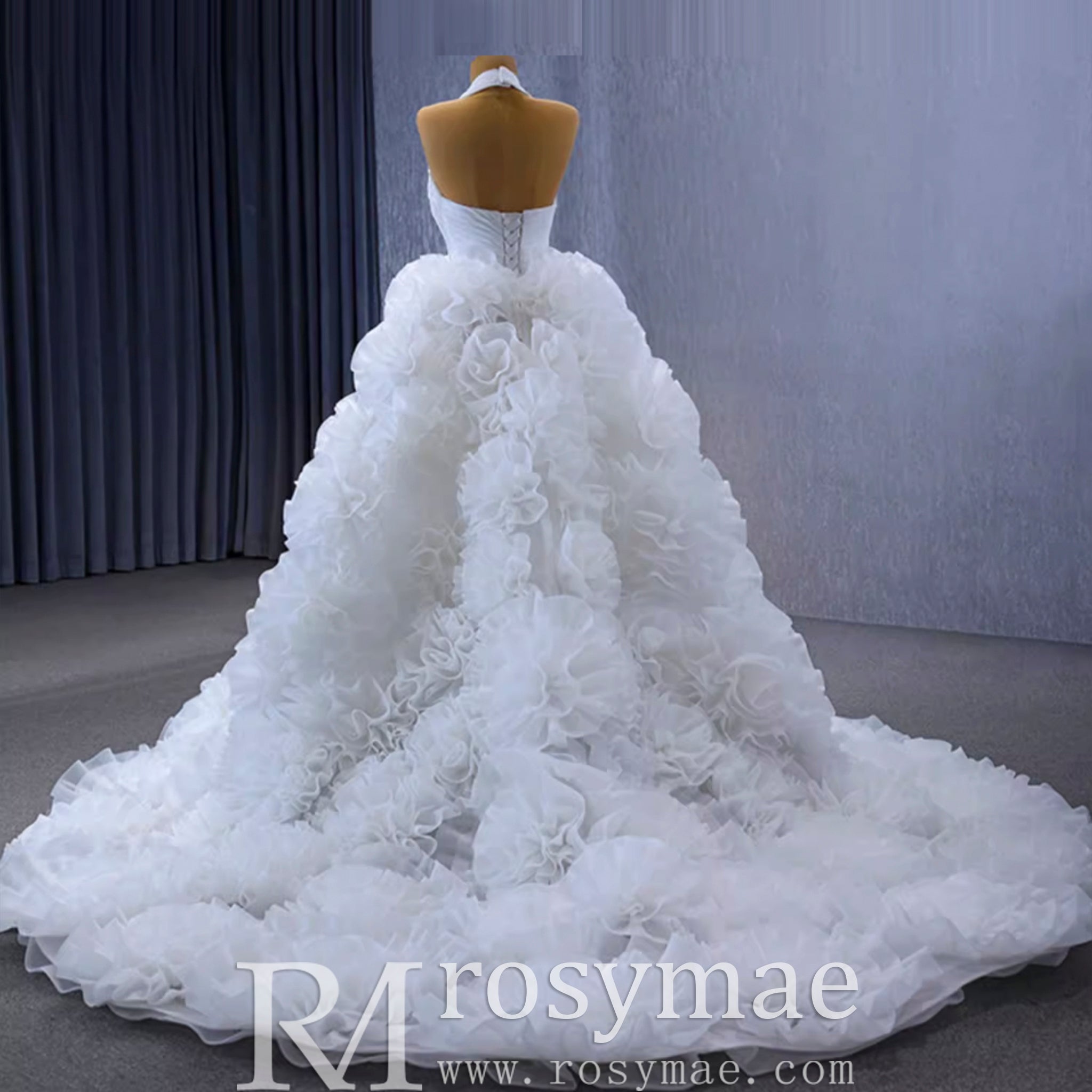 Gorgeous Ball Gown Ruffle Puffy Skirt Quinceanera Dress - Rosymae
