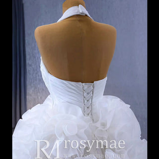 Gorgeous Ball Gown Ruffle Puffy Skirt Quinceanera Dress - Rosymae
