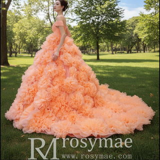 Gorgeous Ball Gown Ruffle Puffy Skirt Quinceanera Dress - Rosymae